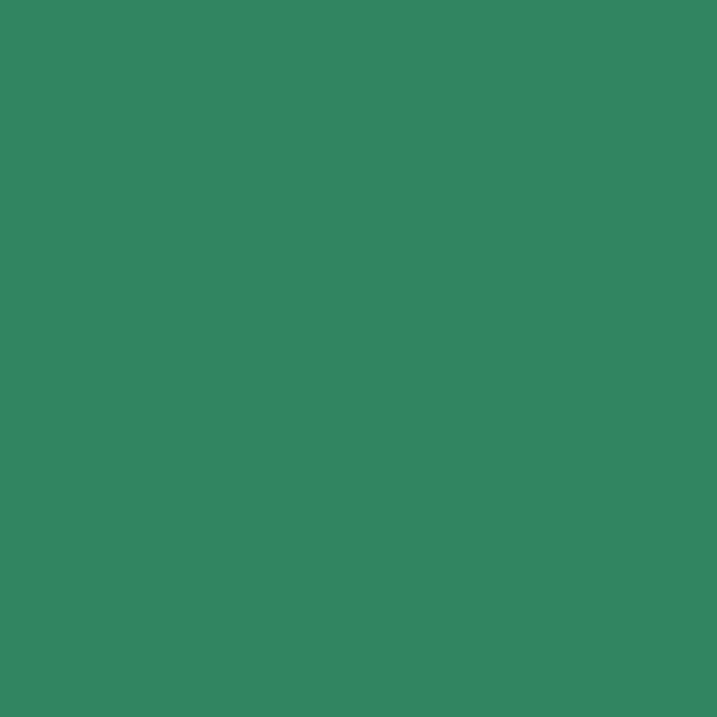 Couche de fintion mat polyuréthane cimentaire TC